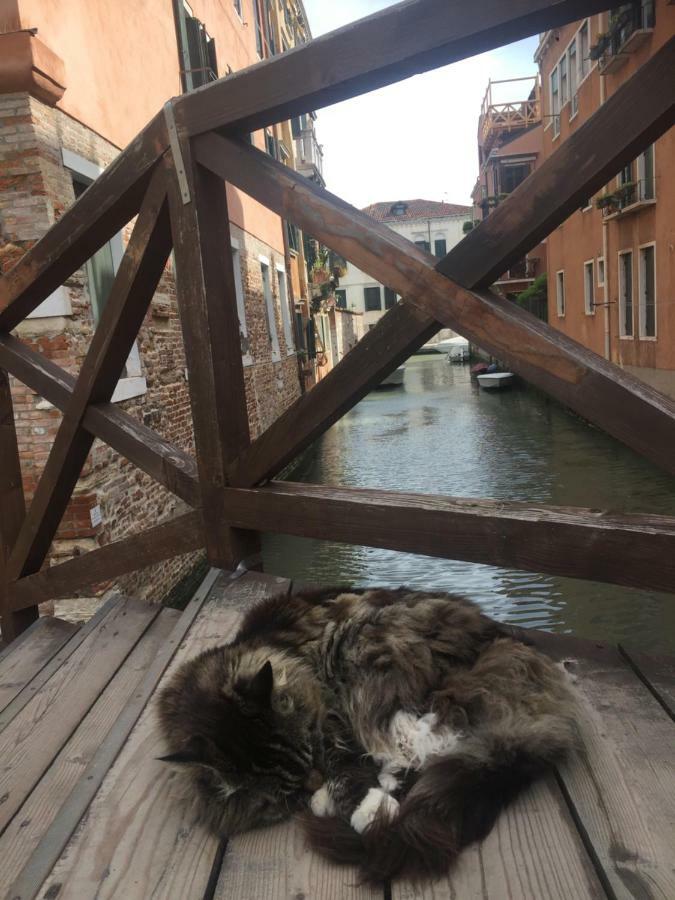 Tintoretto 1 Con Terrazza Sopra Il Tetto, 3 Bagni, 3 Grandi Da Letto, Super Nuovo Venedig
